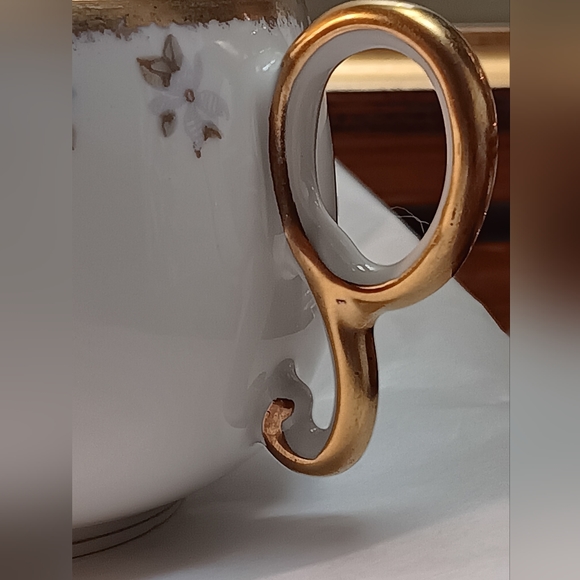 Limoges France BAWO & DOTTER Cup and Saucer - Picture 13 of 14